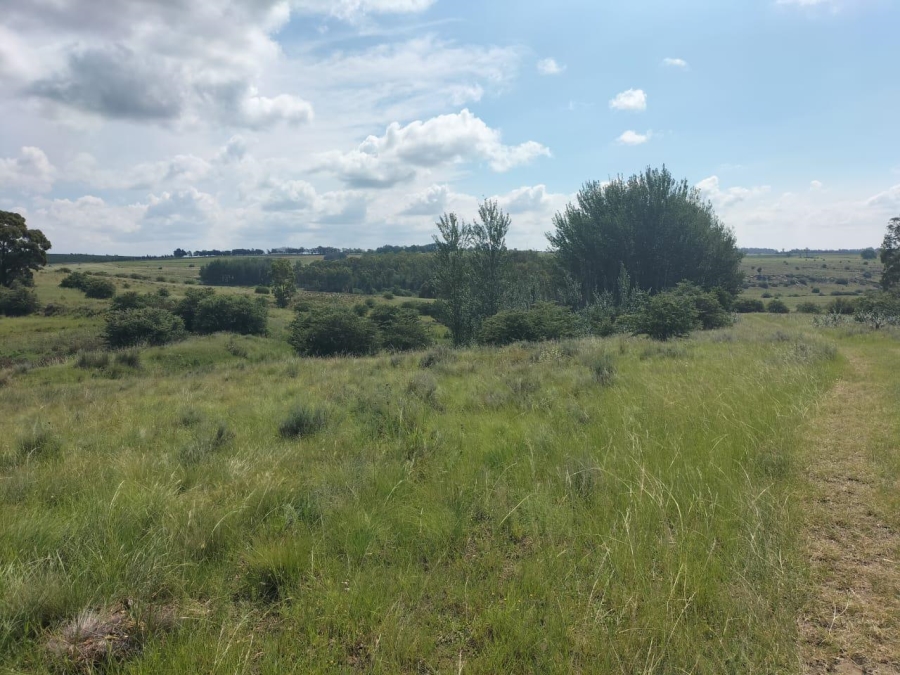 0 Bedroom Property for Sale in Bethlehem Rural Free State